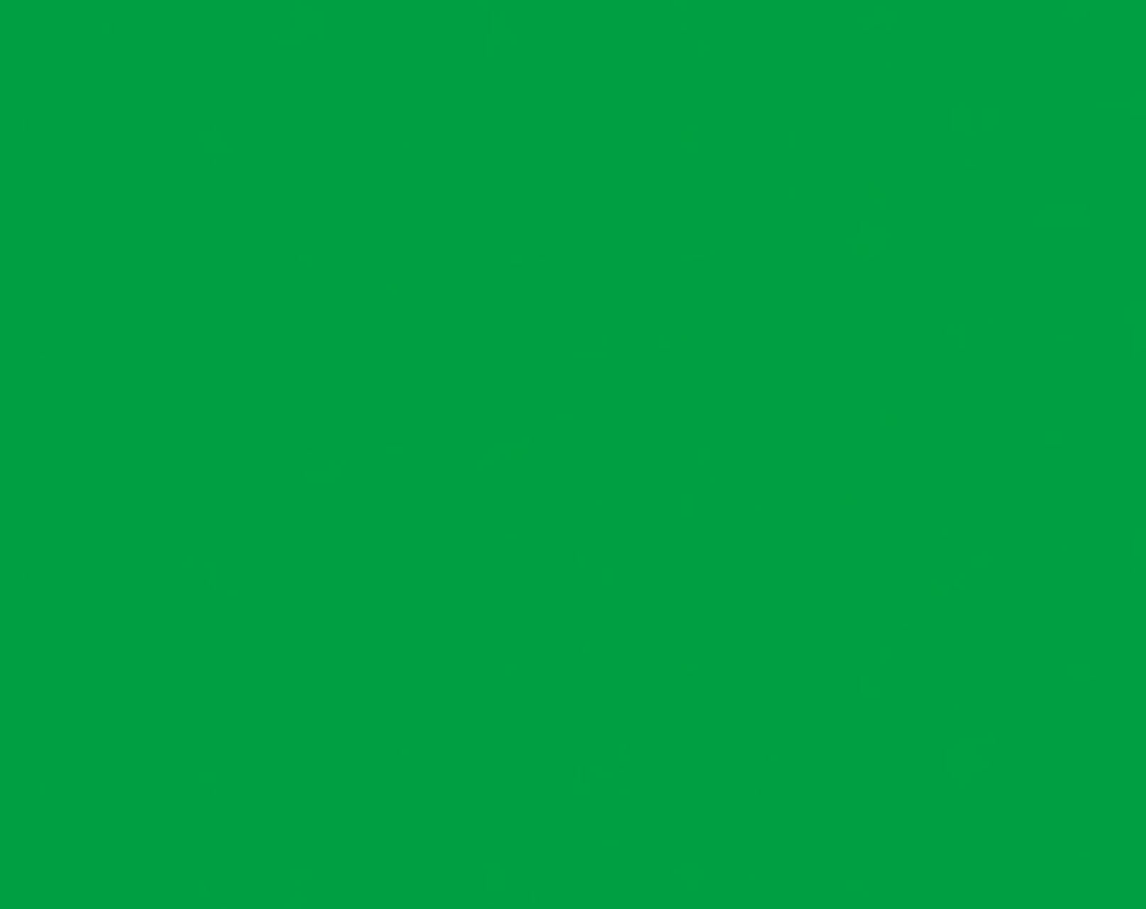 FT104816-13-50m-grassgreen