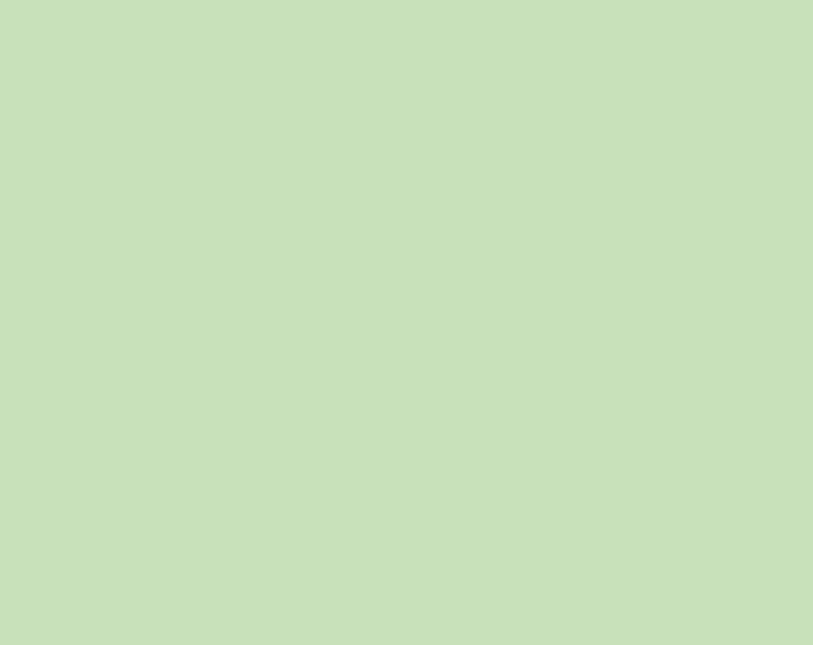 FT302529-38-58m-leaf