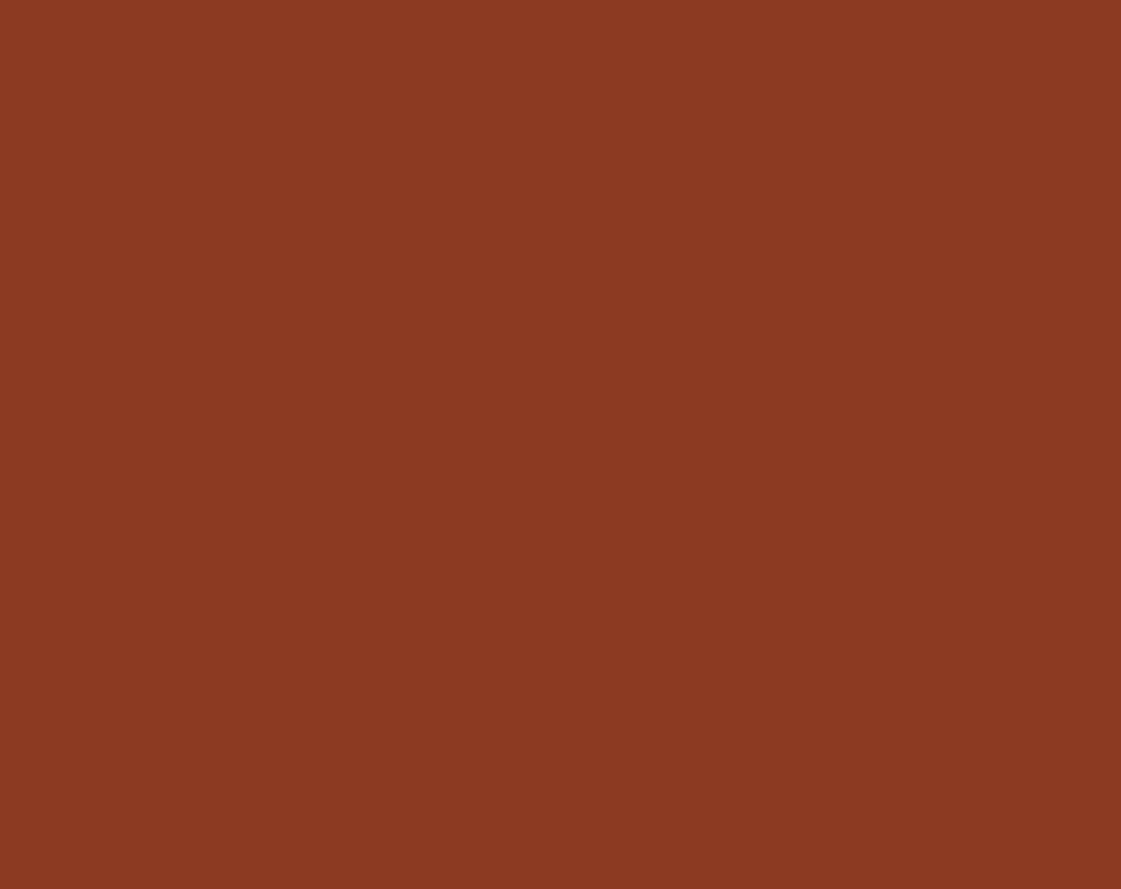 FT004811-9-50m-brown