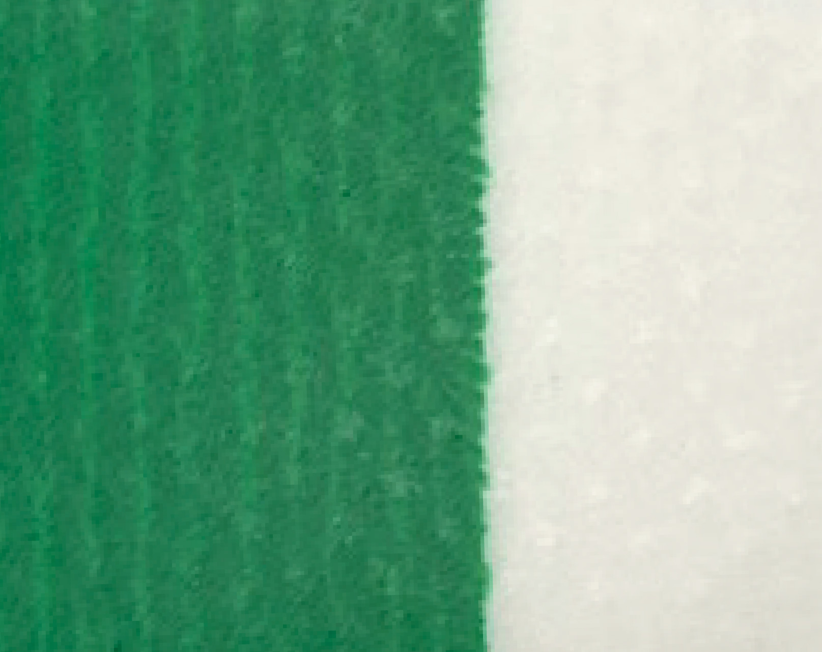 FT208519-18-50m-green