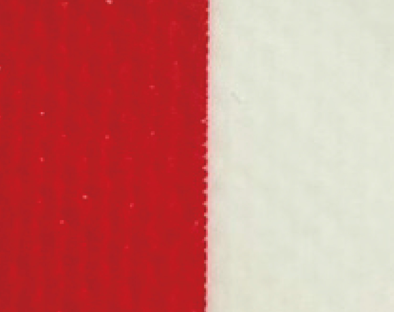 FT209534-19-56m-red