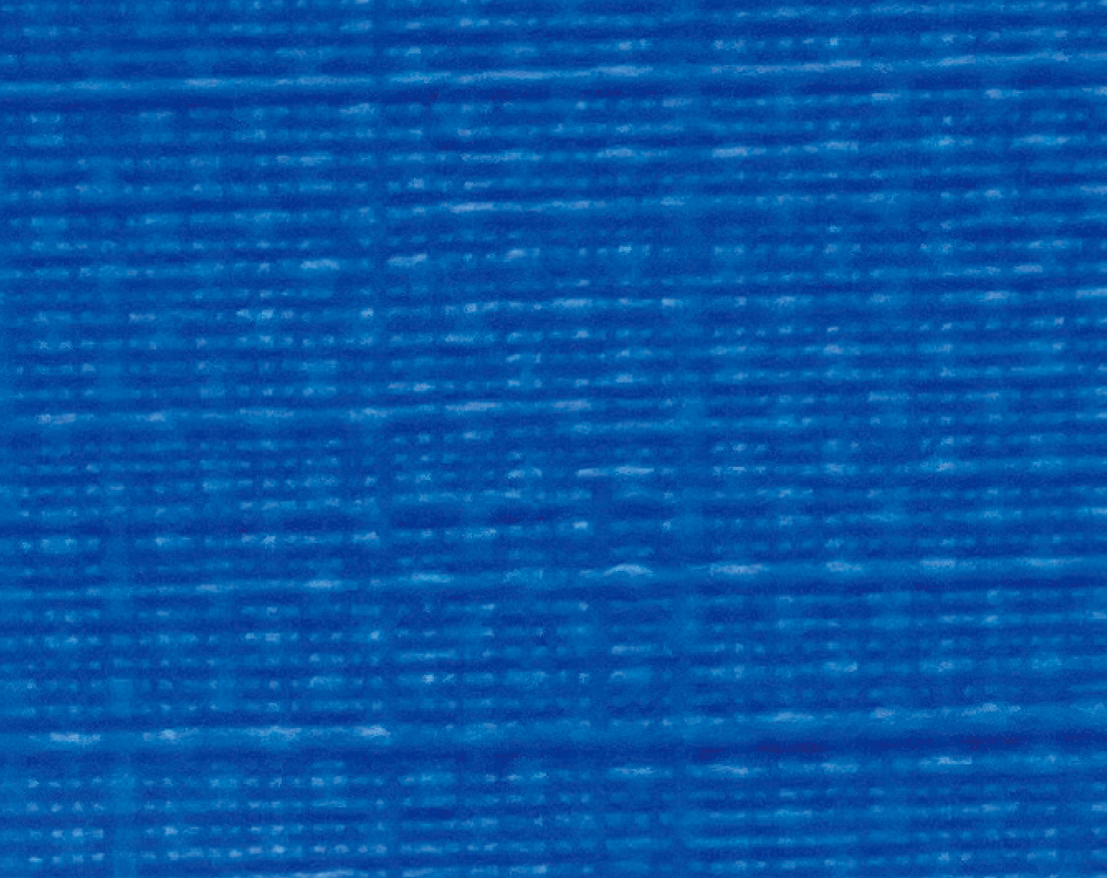 FT209008-9-25m-ruri