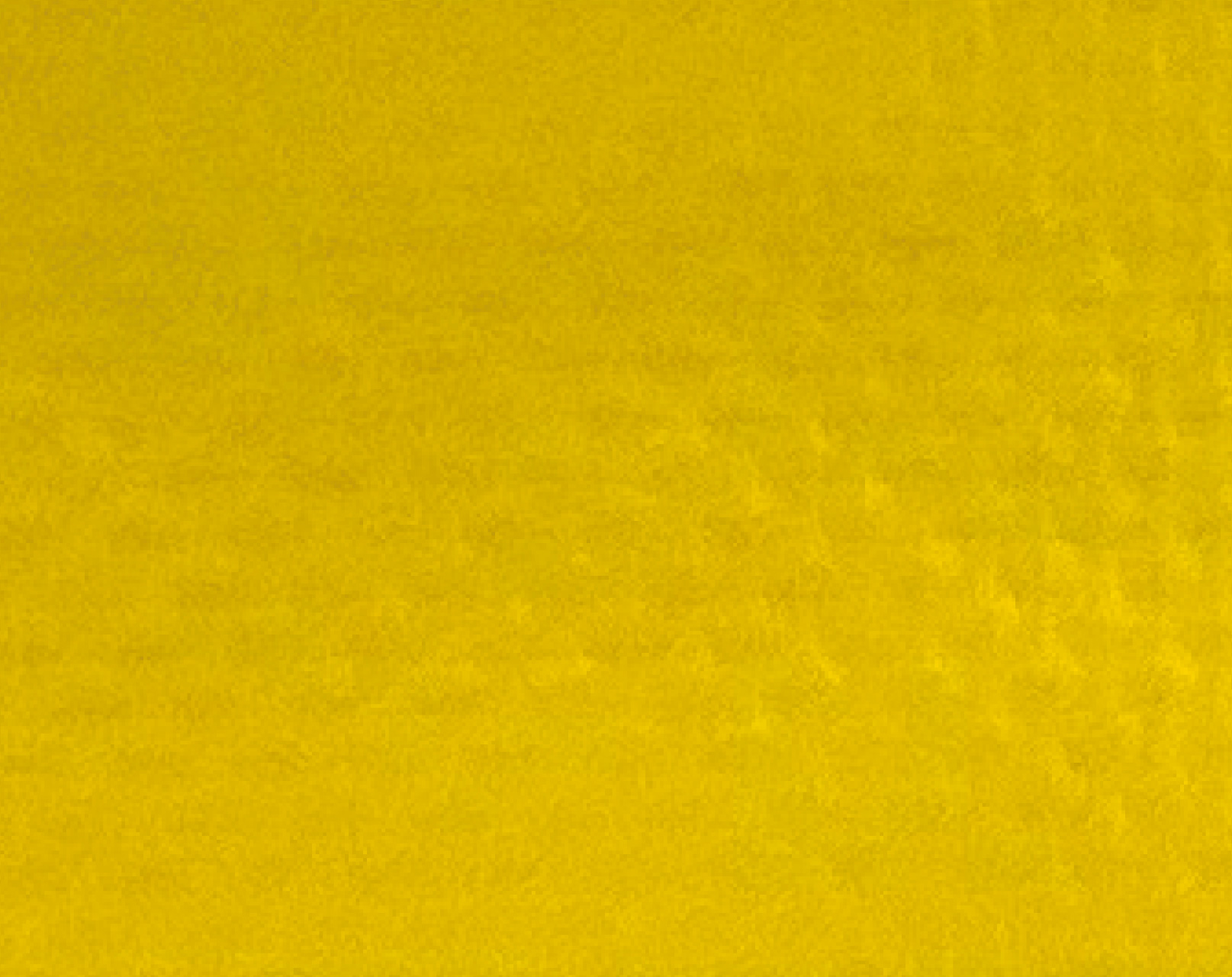 301644-05-41m-canaryy