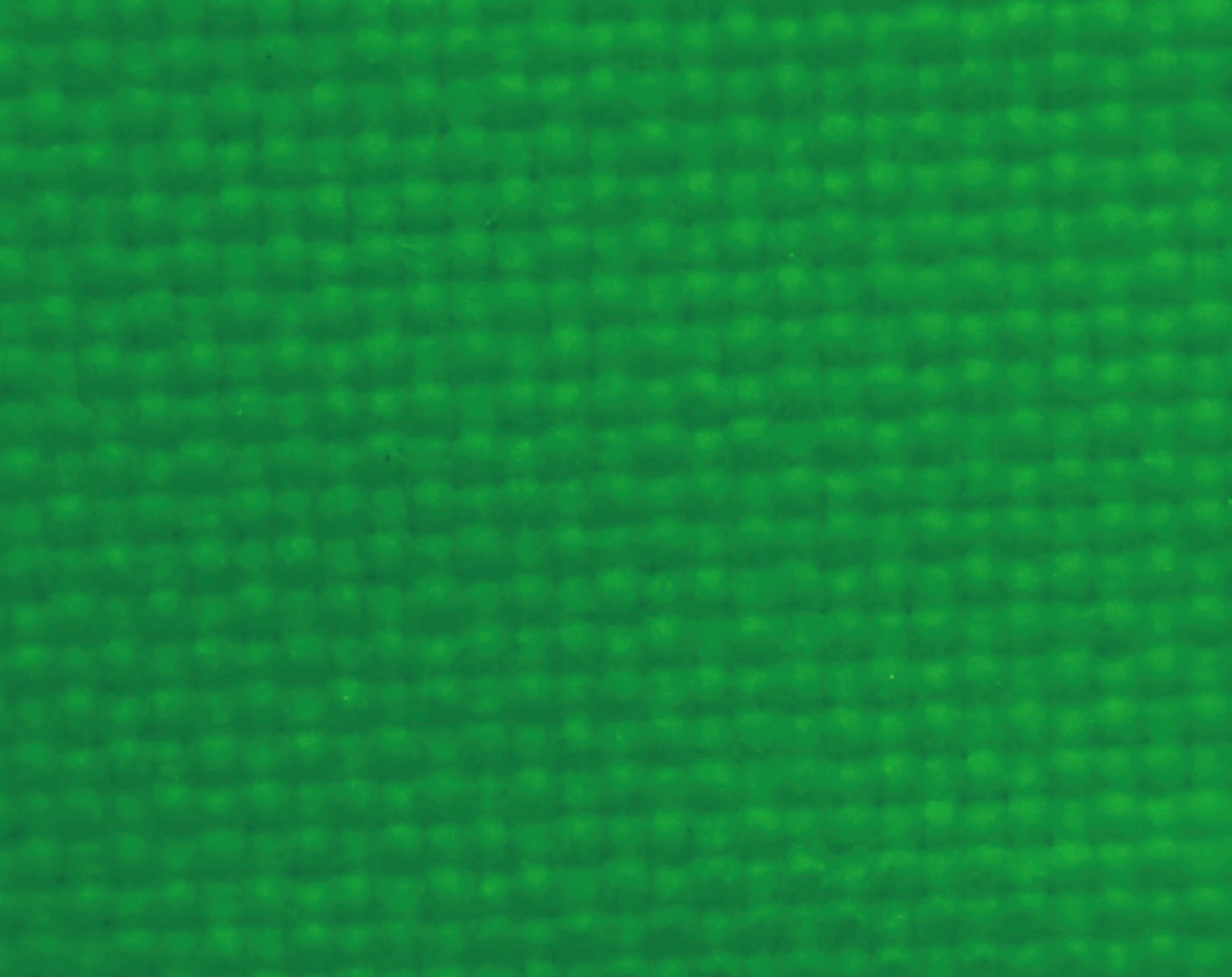 C905007-54-50m-2006F