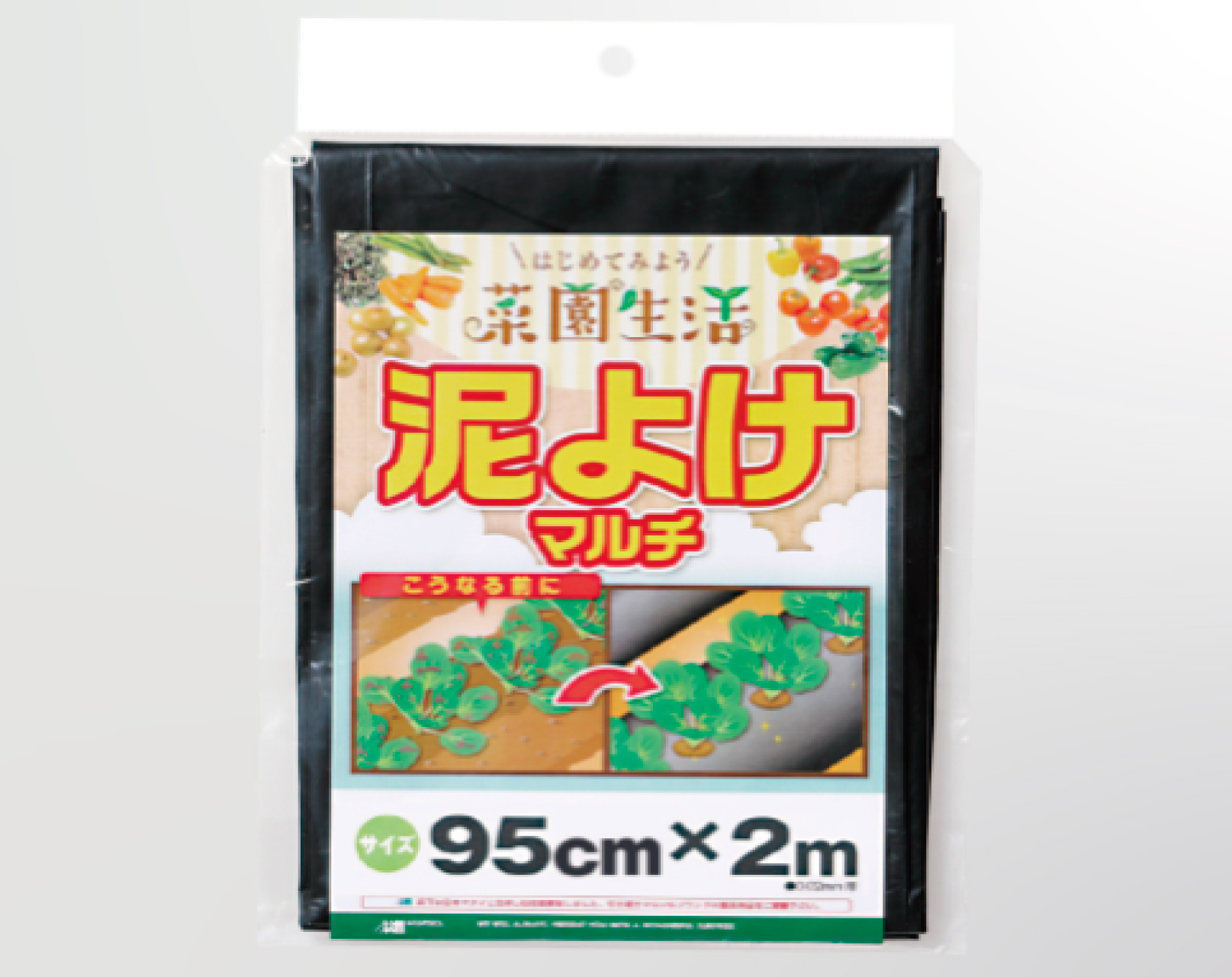 DDHC09661