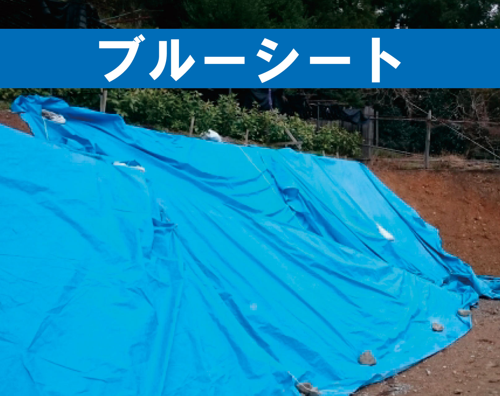 ブルーシート