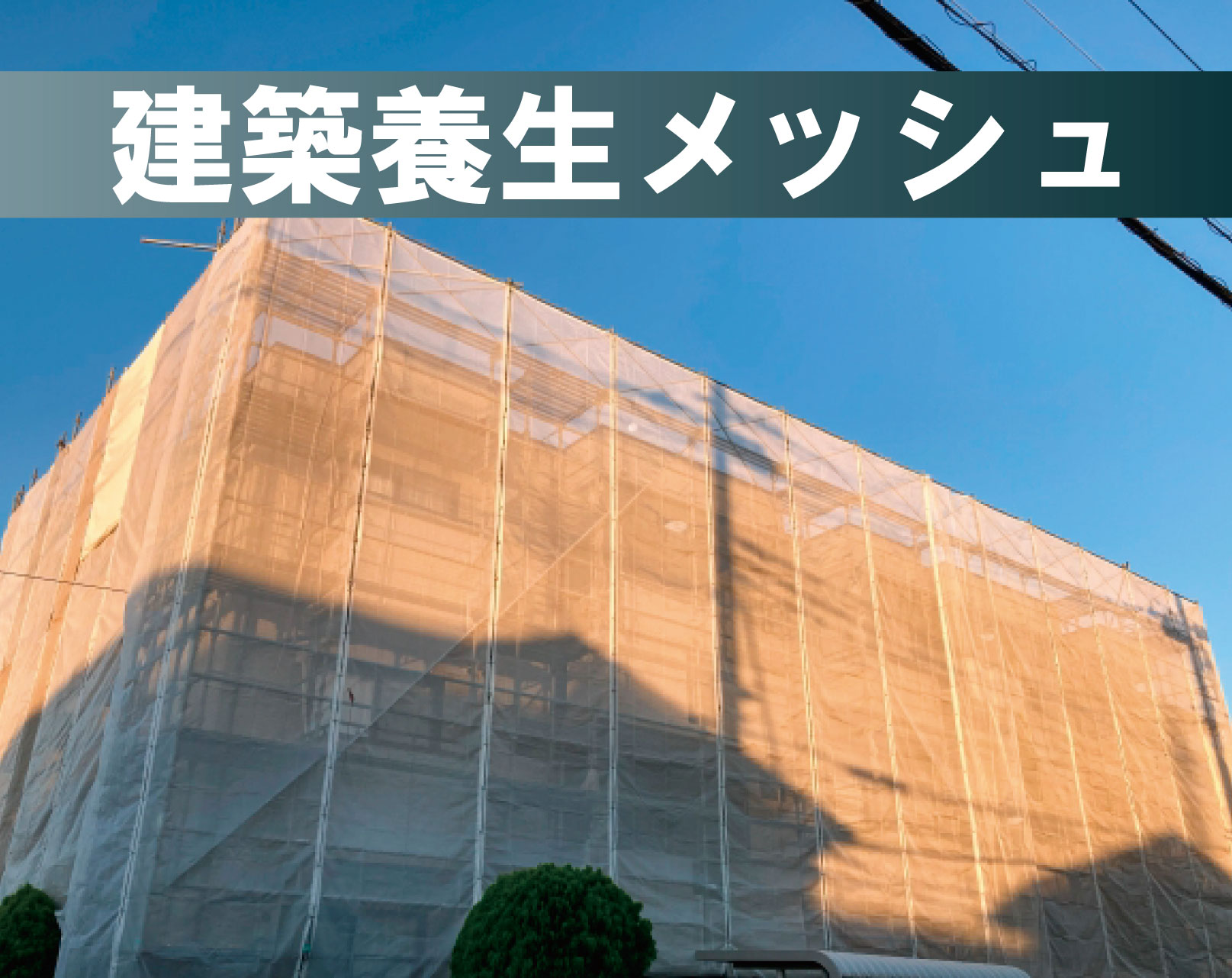 建築養生メッシュ（既製品）