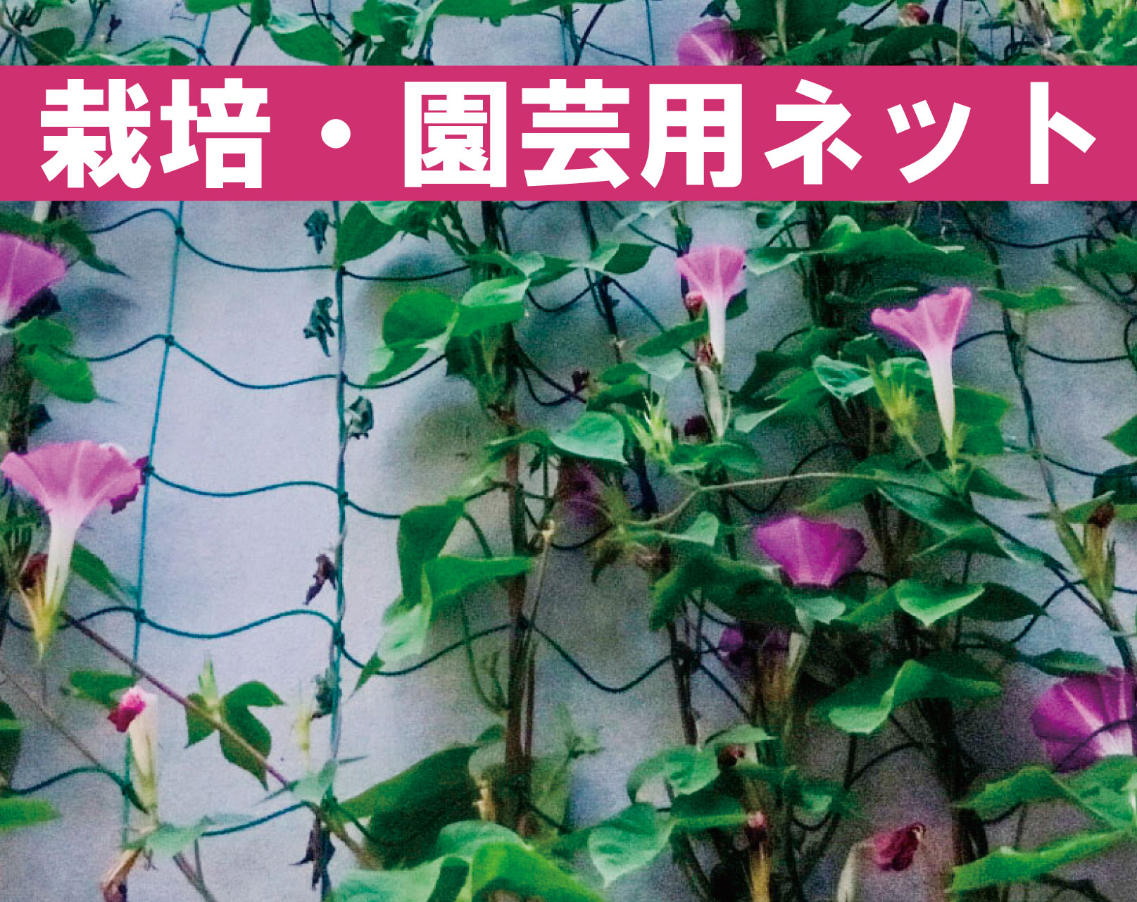 栽培ネット・園芸ネット