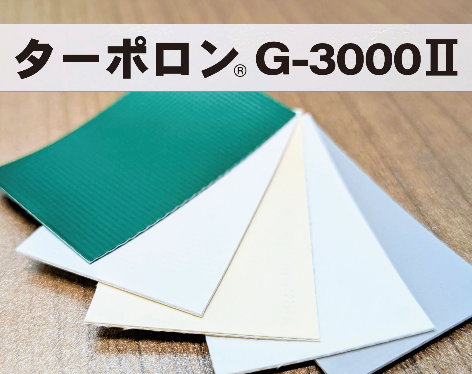 ターポロン G-3000Ⅱ