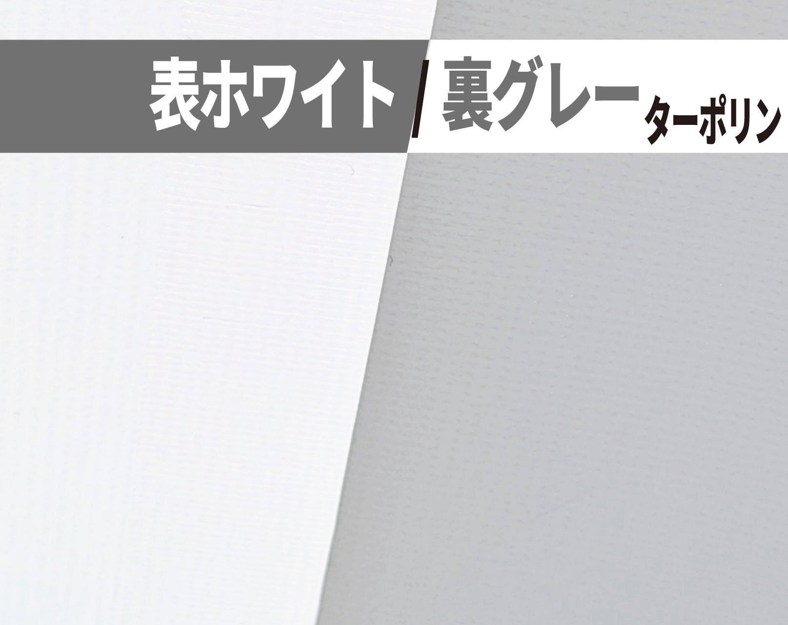 0.38t 表面ホワイト/裏面グレー ターポリン
