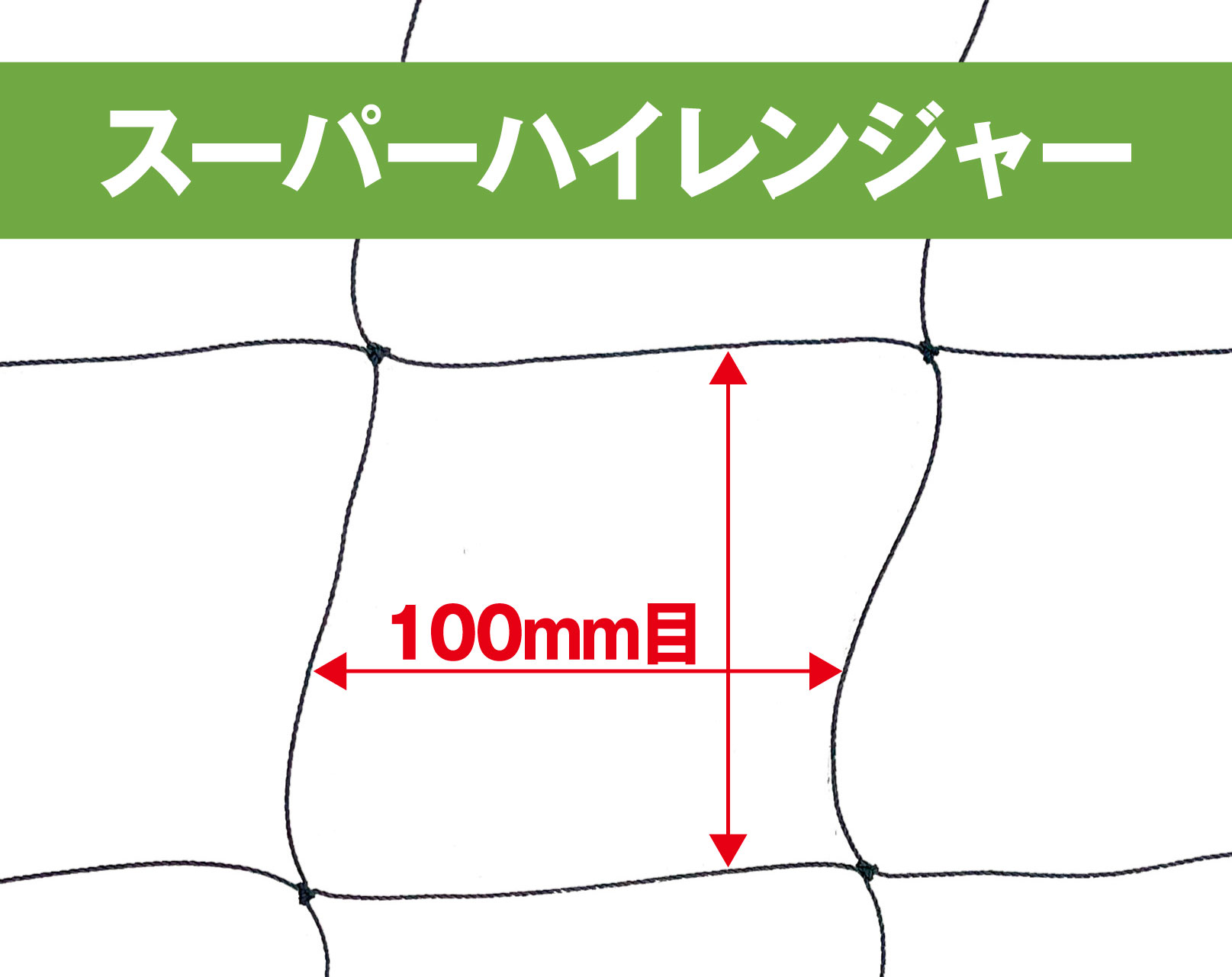 スーパーハイレンジャー 100mm目