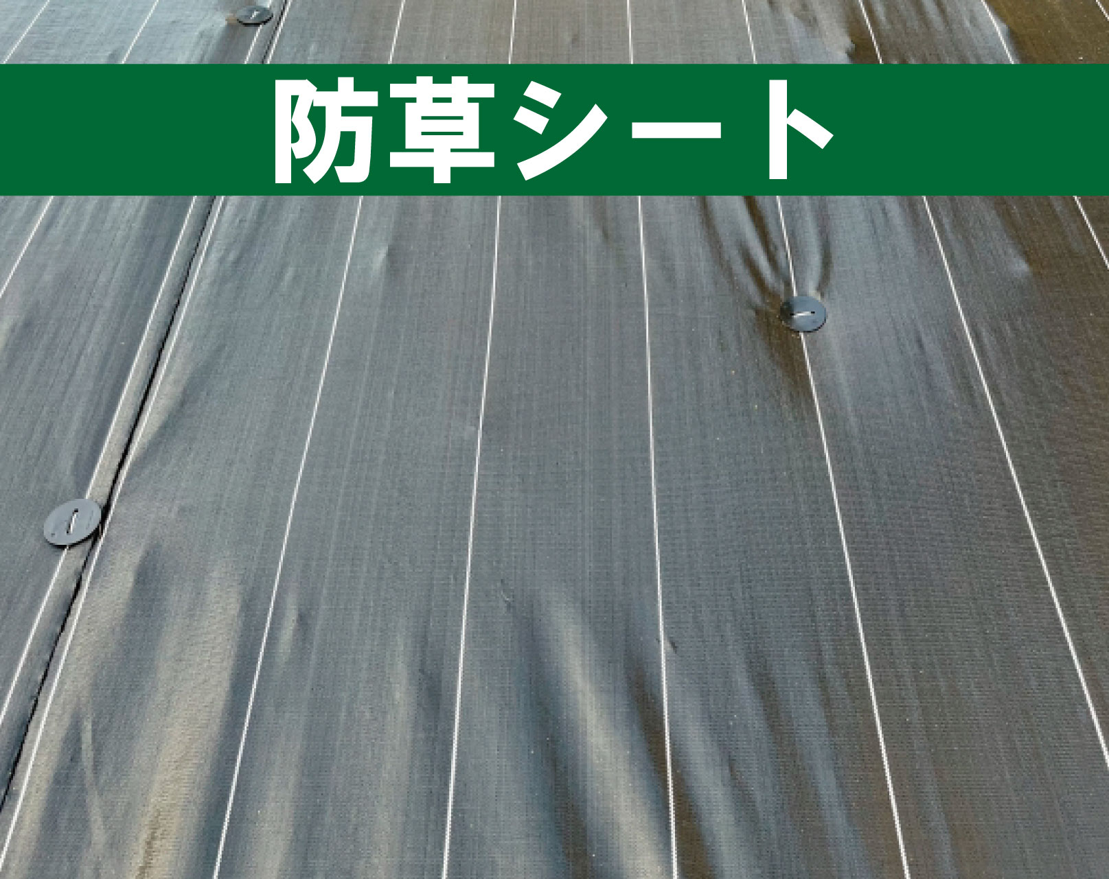 防草シート